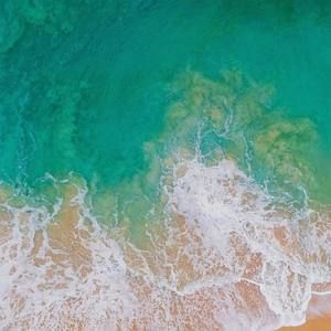 Meet your Posher, Jaime